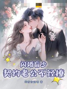 闪婚盲少，契约老公不经撩