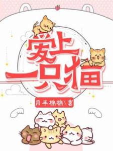 爱上一只猫