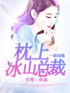 一婚成瘾：枕上冰山总裁