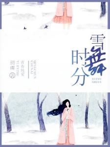 雪舞时分