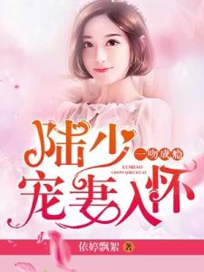 陆少宠妻入怀